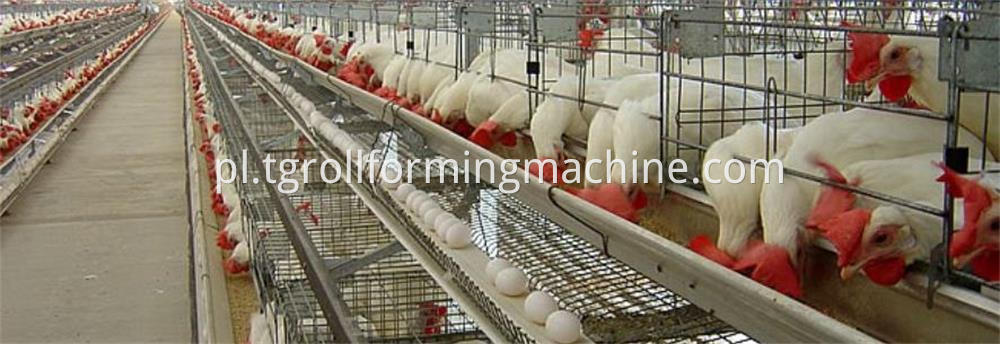 Chicken Husbandry Forming Machine